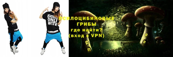 герыч Алексин