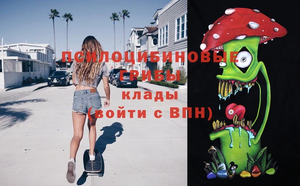 герыч Алексин